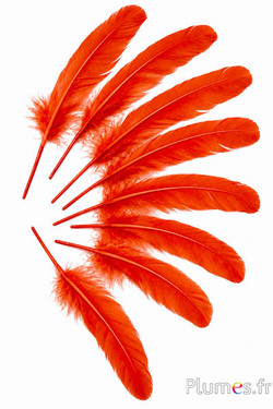 Gans - 15-21 cm - karamell